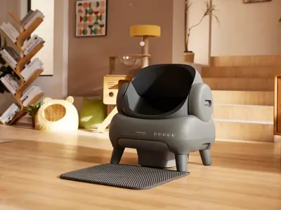 Kat plast alleen boven of alleen beneden