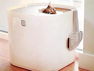 De beste kattenbak voor katten met plasproblemen