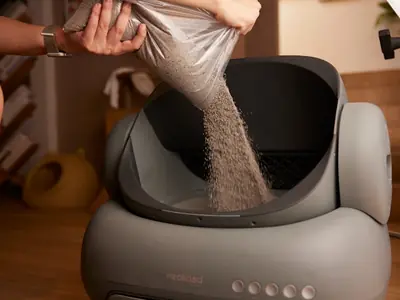 Kat plast na verandering van kattenbakvulling