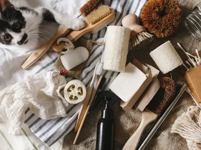 Beste geurverwijderaar voor kattenurine